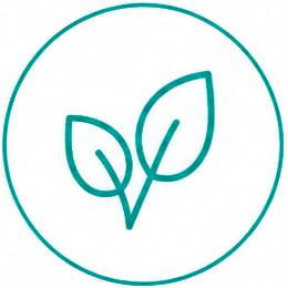Растительная основа