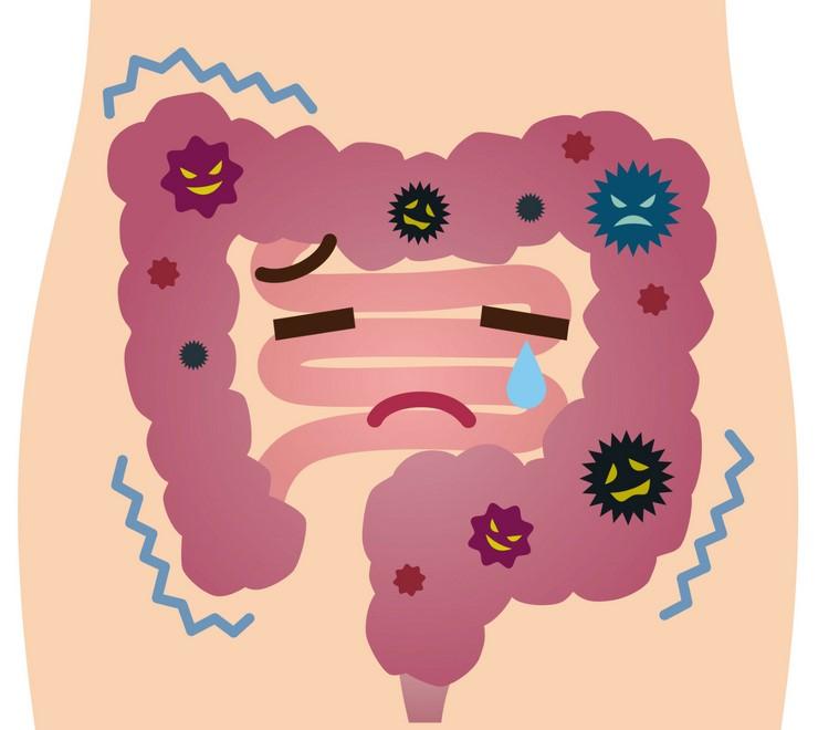 zh-k-t.jpg